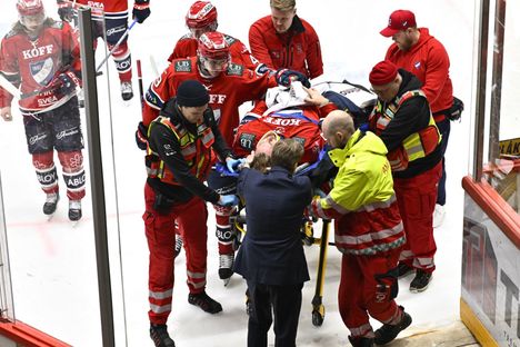 Alnefeltin kerrotaan selvinneen säikähdyksellä.