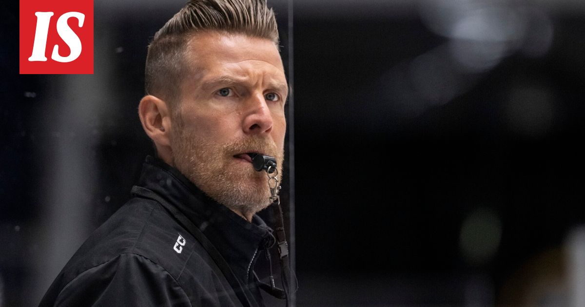 Tässä on Nuorten Leijonien uusi päävalmentaja