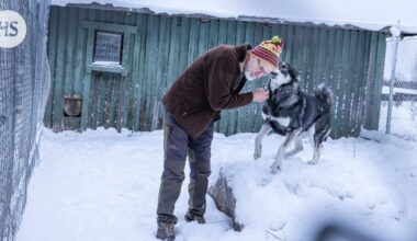 Jahtia johtanut Kari Jukkala kertoo, miten susi metsästetään