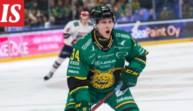 Ilves: tämä on Olli Palolan tilanne