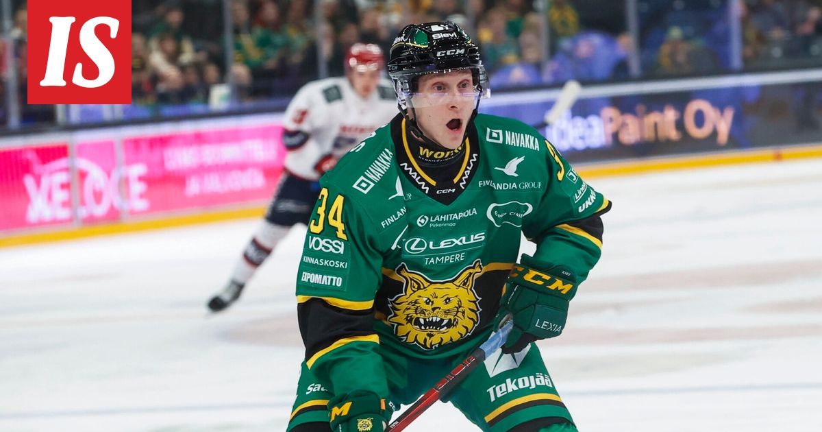 Ilves: tämä on Olli Palolan tilanne