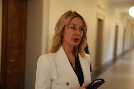 Sdp:n pääsihteeri Rami Lindtström sanoo, ettei hän ole kertonut ryhmäjohtaja Tytti Tuppuraiselle selvittelemistään tapauksista.