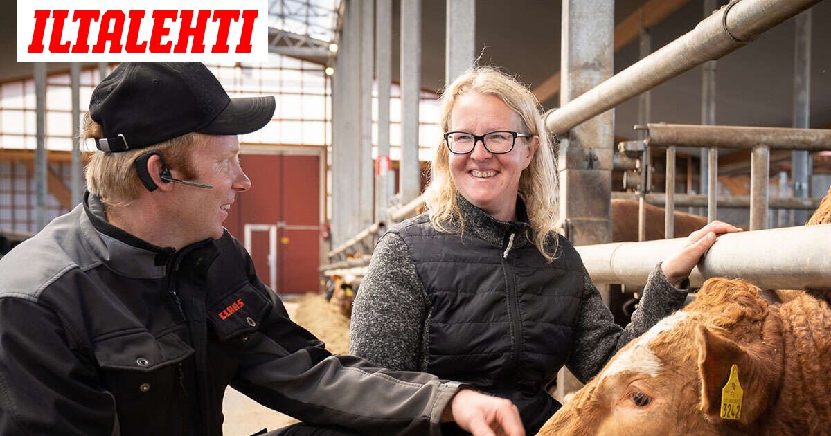 ”Jos vierekkäin on suomalainen ja uruguaylainen naudan sisäfilee...”