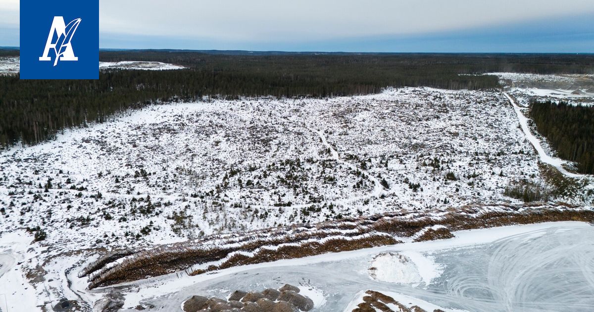 Miljardiluokan investointi Nokialle etenee – Norjalainen Freija sai merkittäviä osto­sitoumuksia