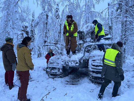 Aktivistit keskeyttivät hakkuut kahdeksi päiväksi tammikuussa 2023.