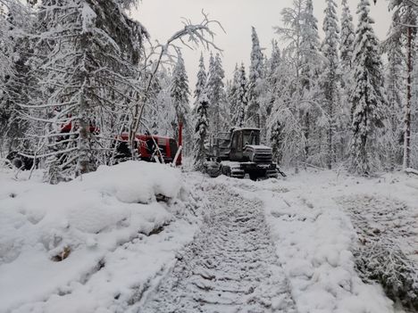 Hakkuut Aalistunturin eteläpuolella alkoivat tammikuussa 2023.