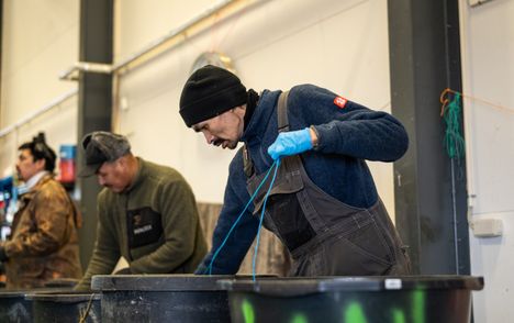 Anders (kesk.) ja Søren kuuntelivat radiosta uutisselostusta kokouksesta samalla kun valmistelivat kalastusverkkoja.