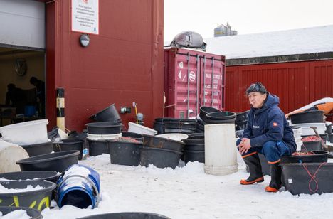 Gert sanoo ymmärtävänsä kuinka Grönlannin tilanne heijastuu myös Suomen turvallisuuteen.