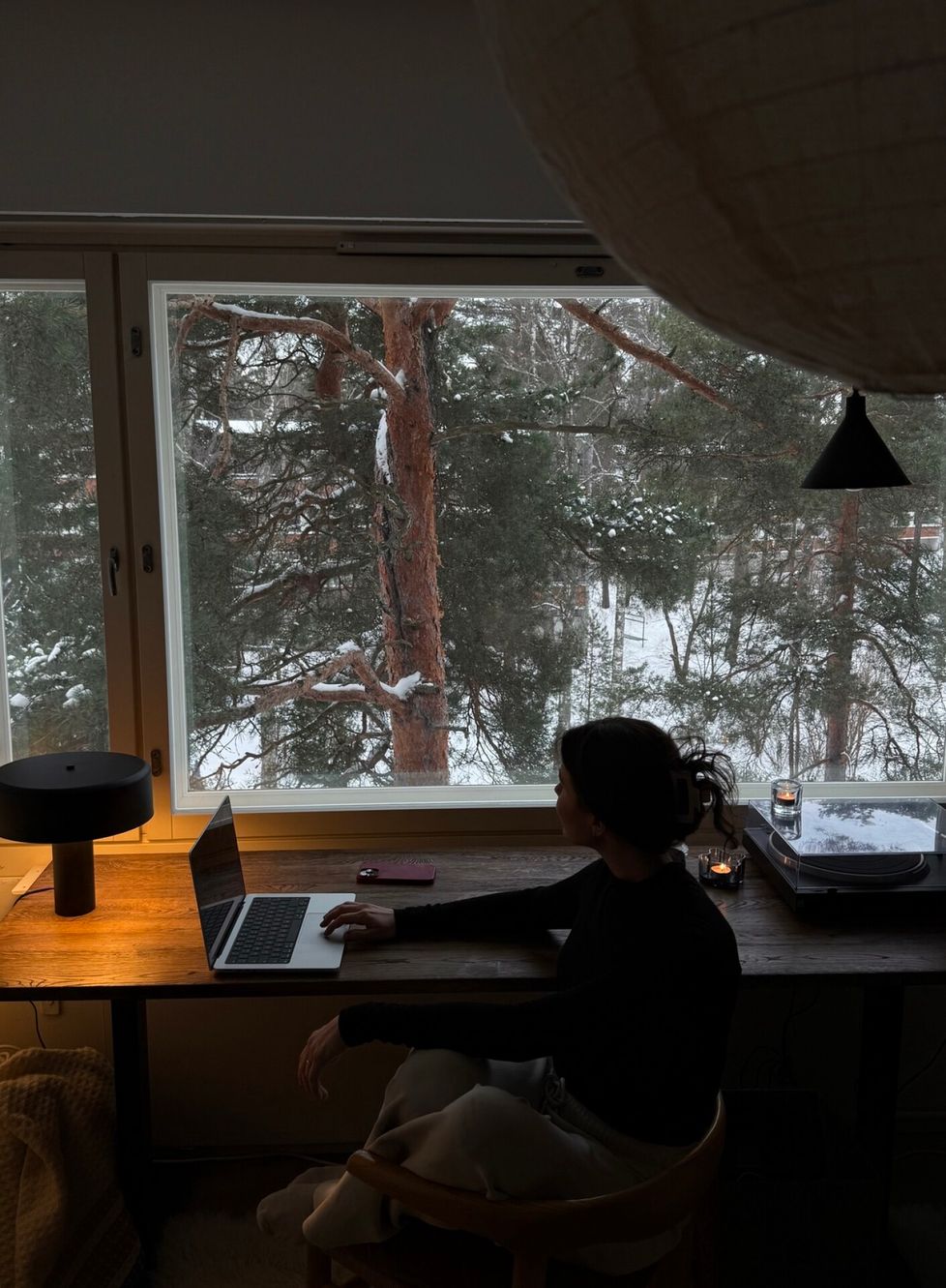 Johannan ja Roosan työhuoneissa on ikkunat samaan suuntaan ja ikkunan edessä on iso mänty.