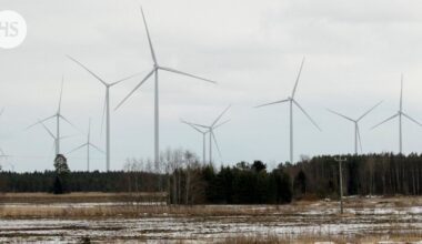 Tuulivoimaennusteet ovat menneet viime aikoina pahasti metsään – maksaako sähkö siksi liikaa?