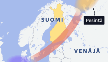 Valkoposki­hanhien hätistäminen pelloilta on tänä vuonna hyvin kallista – asiantuntija: Valkoposki­hanhia voisi hyvin metsästää | Kotimaa