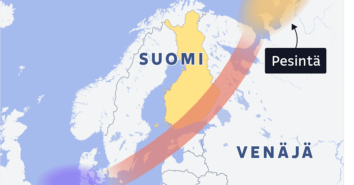 Valkoposki­hanhien hätistäminen pelloilta on tänä vuonna hyvin kallista – asiantuntija: Valkoposki­hanhia voisi hyvin metsästää | Kotimaa