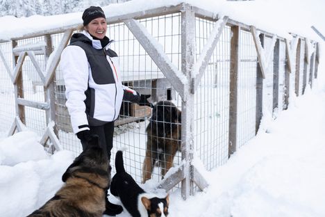 Aholan perheen nuorimmaiset ovat ehdottaneet, että turistit voisi teljetä koiratarhaan.