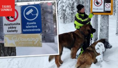 Turistit häiritsevät kotirauhaa Rovaniemellä - Ilta-Sanomat