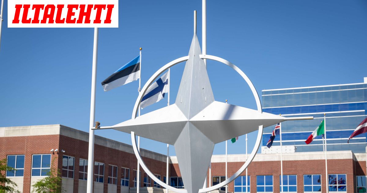 Upseerit haluavat ulkomaille töihin – Perhe ja raha huolettavat