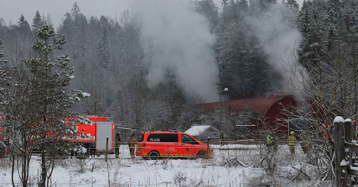 Espoon Korpilammella hevostilan varastorakennusta sammutetaan vielä tunteja – kaikki hevoset on saatu laitumelta sisälle | Kotimaa