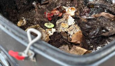 Satakunnassa kerättiin viime vuonna noin kolme miljoonaa kiloa biojätettä | Satakunta