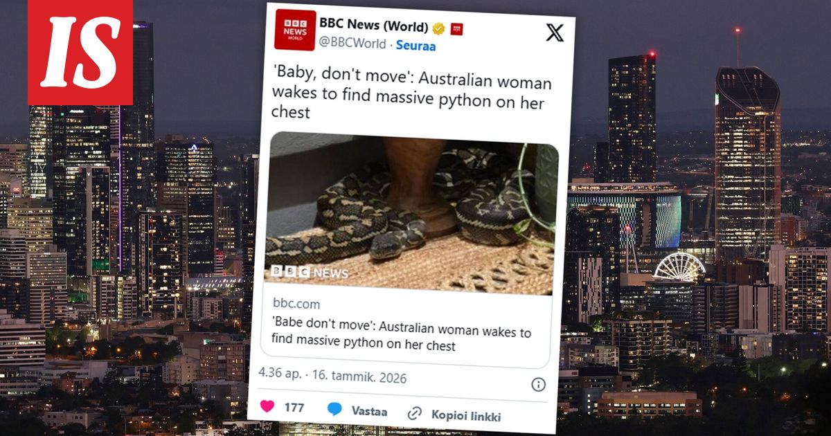 Australialaisnainen heräsi 2,5-metrinen pyton rinnallaan