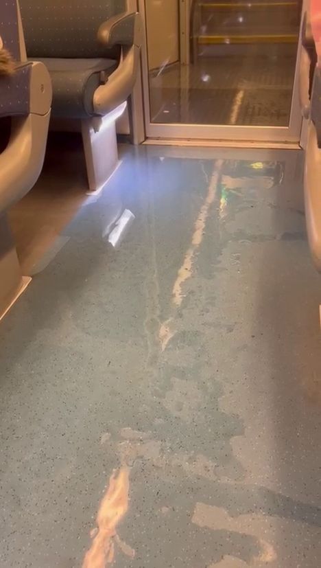 Vettä valui vaunun lattialle liki koko matkan Helsingistä Hämeenlinnaan.