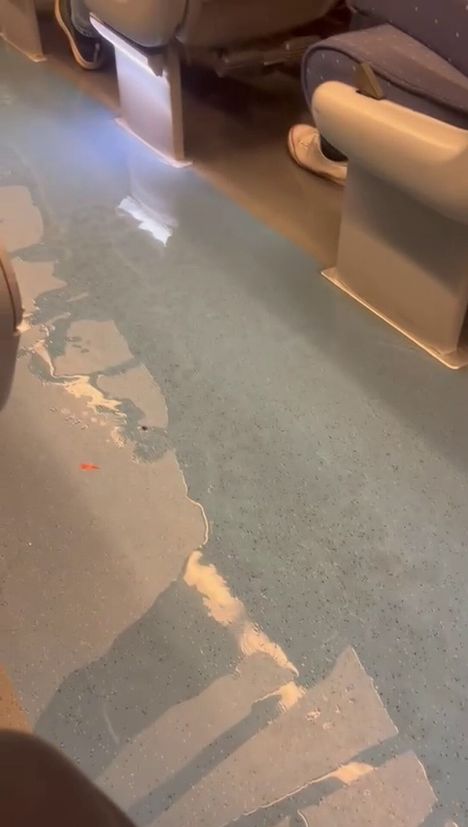 Monet muutkin matkustajat ihmettelivät vesivahinkoa.