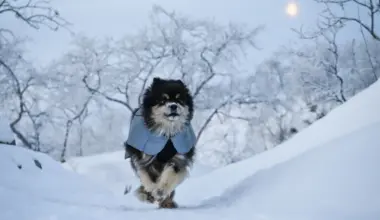 Äijä-koira ja Aki Huhtanen: Seikkailut Kilpisjärven pakkasissa