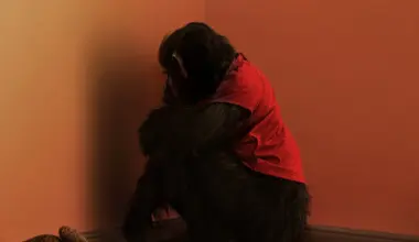 Primate: Tehokas kauhutrilleri, jossa simpanssi muuttuu verenhimoiseksi hirviöksi