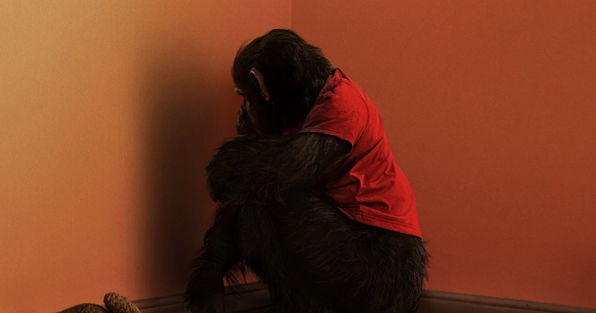 Primate: Tehokas kauhutrilleri, jossa simpanssi muuttuu verenhimoiseksi hirviöksi