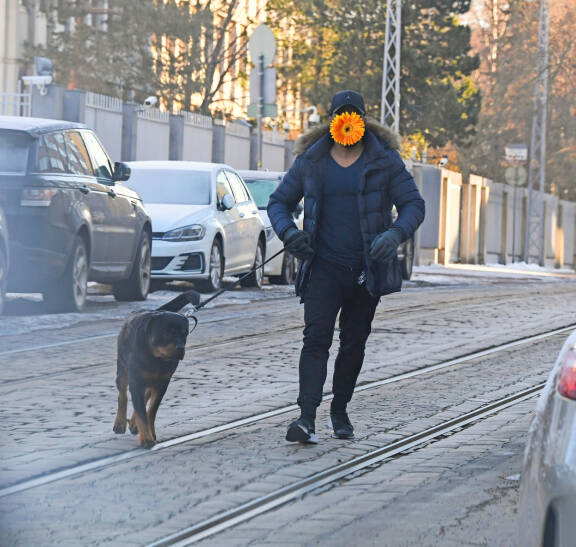 Aussirakas oli tuttu näky Martinan koiranulkoiluttajana.