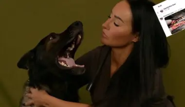 Eläinklinikka julkaisi rajuja kuvia koirista - kohukaunotar Tarja Malmström joutui raivon kohteeksi