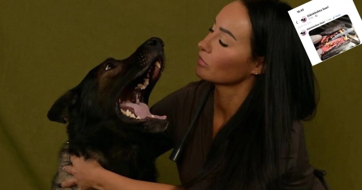 Eläinklinikka julkaisi rajuja kuvia koirista - kohukaunotar Tarja Malmström joutui raivon kohteeksi