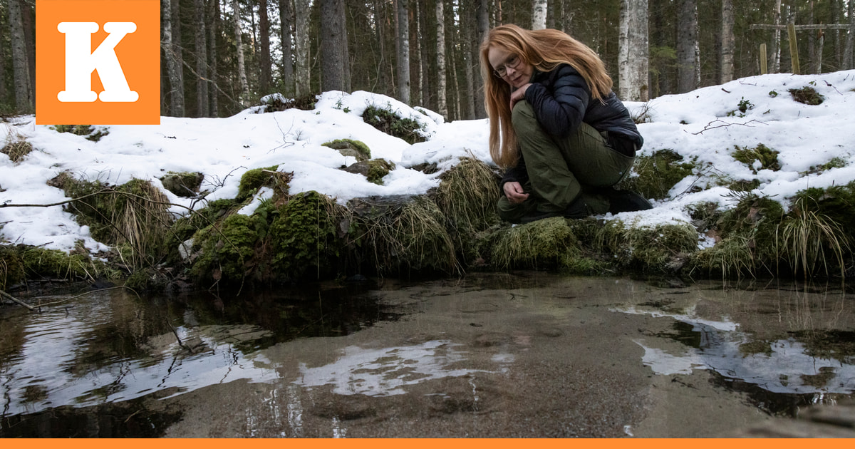 Oululaiselta Teija Soinilta pyydettiin kuvia lähteistä, ja ne veivät hänet heti toiseen universumiin