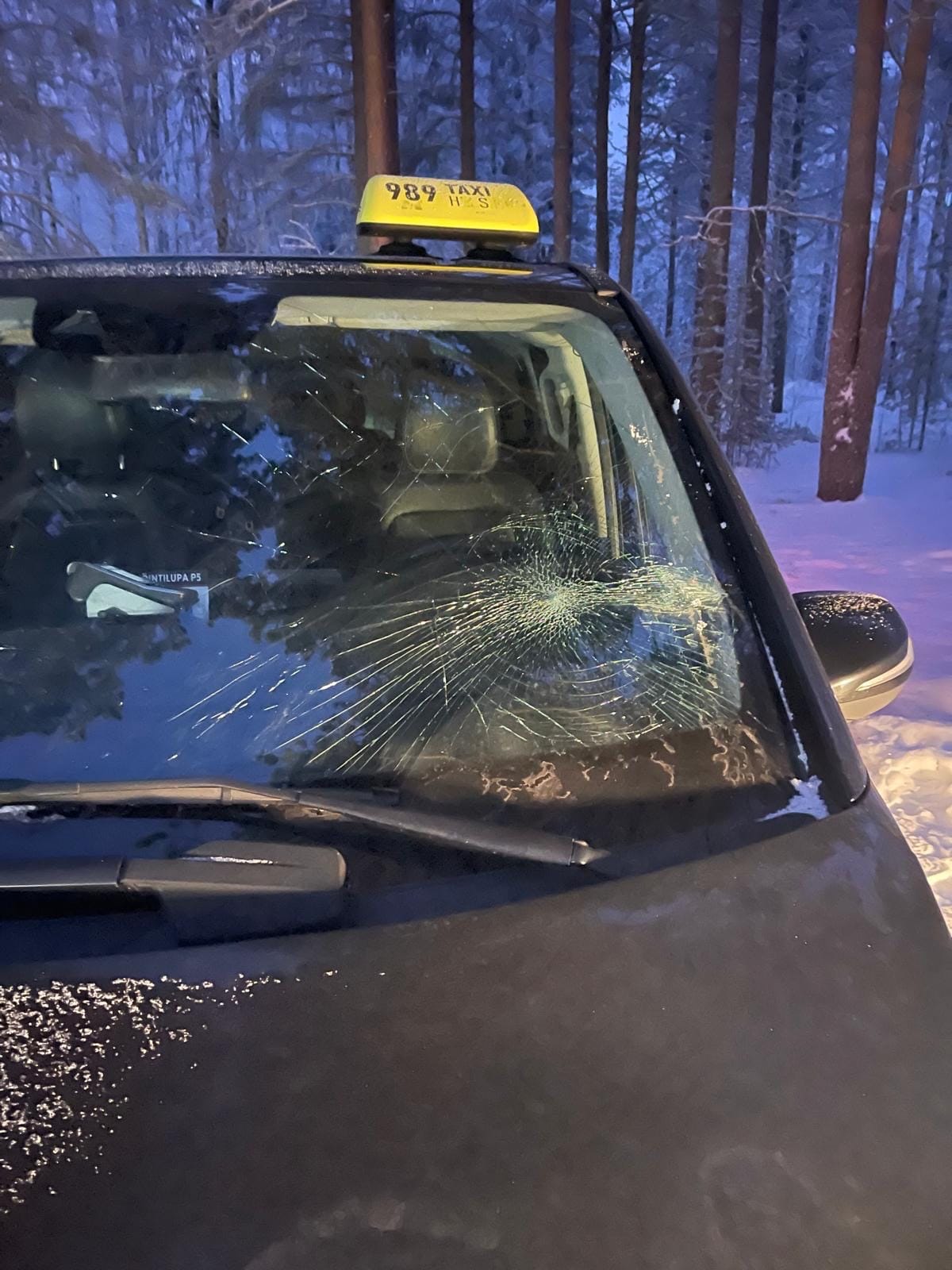 Tuulilasi oli isketty säpäleiksi.