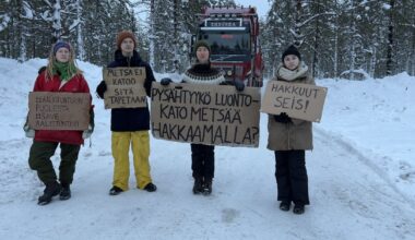 Tällainen on hakkuiden pysäyttämisestä tuomittujen aktivistien edustama Metsäliike: ei kaihda suoraa toimintaa | Kotimaa