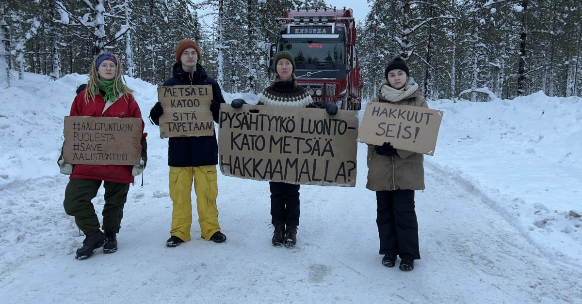 Tällainen on hakkuiden pysäyttämisestä tuomittujen aktivistien edustama Metsäliike: ei kaihda suoraa toimintaa | Kotimaa