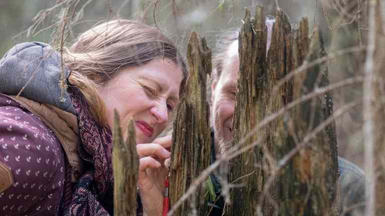 Kaksi ihmistä tutkii vanhaa puunrunkoa.