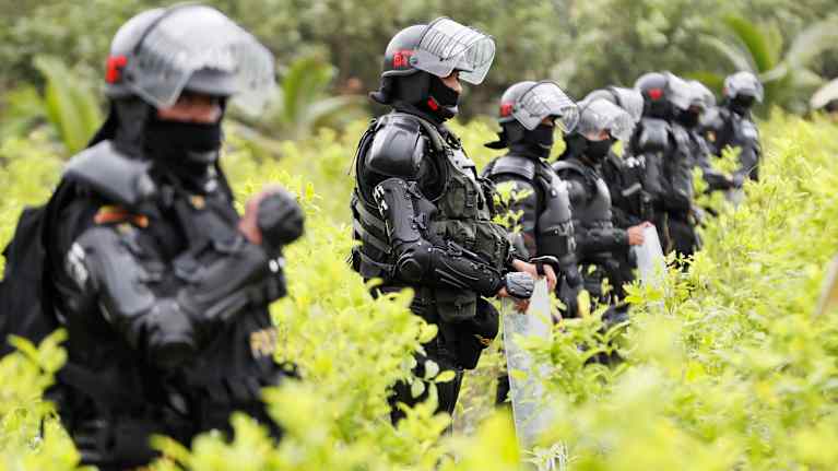 Sotilaista valvomassa kokapensaiden hävittämistä. 