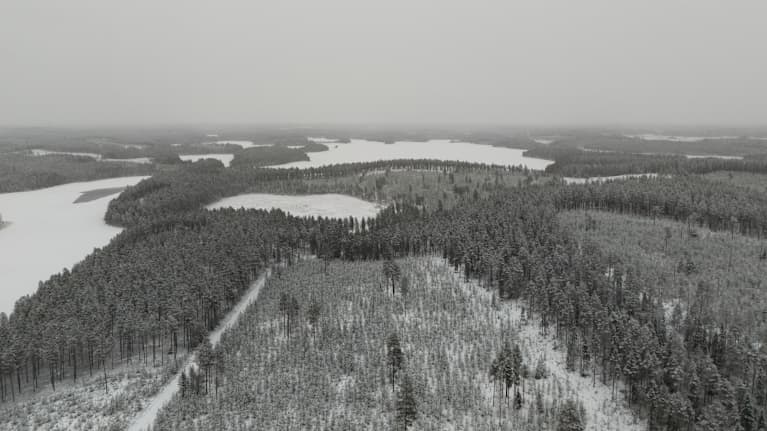 Kaunis talvinen maisema ilmasta. 