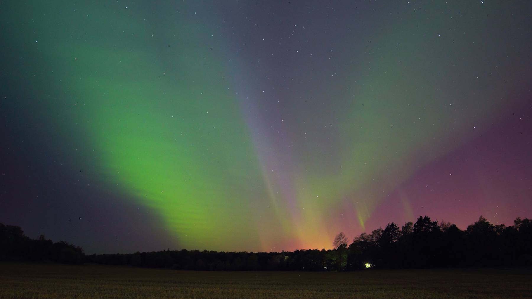 Revontulia sänkipellon yllä.