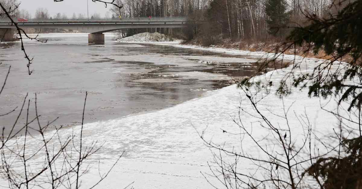 Suomessa annettu tulvavaroituksia – asiantuntija kertoo, mistä on kyse - Yle