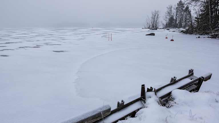 Lumisateinen talvipäivä. Laiturilta näkyy järven rantaviiva, joka on hiljattain jäätynyt umpeen.
