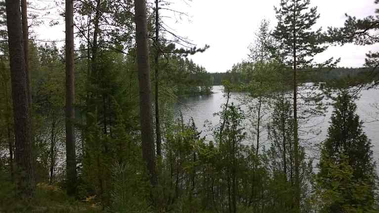 Järvinäkymä harjulta. Kuvassa lehtipuita sekä suurien havupuiden runkoja.