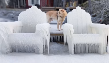 Tältä näyttää pakkanen suomalaisten arjessa: katso kuvat - Yle