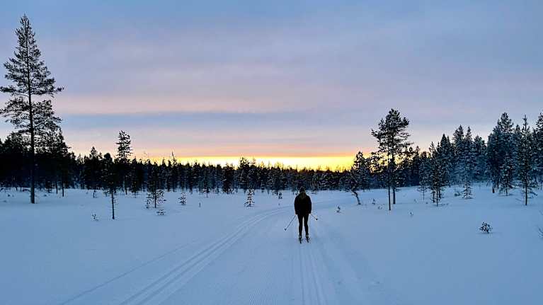 Hiihtäjä saariselän maisemissa.
