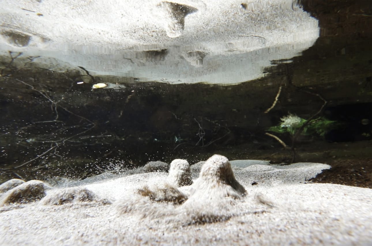 Isohetteen päädyssä pulppuaa vieri vieressä toistakymmentä lähteen hiekkasilmää.