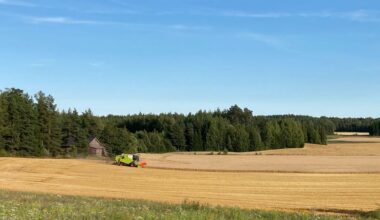 Yritykset ovat sitoutuneet edistämään yhdessä konkreettisia ratkaisuja Saaristomeren hyväksi