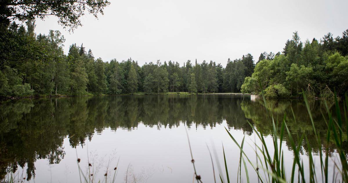 4H jatkaa Aulangon hoitoa – Joutsenlammen ympärillä nyt esteetön reitti | Paikalliset