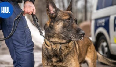 LV: Jäätä pitkin liikkunut mies tunkeutui aseen kanssa asuntoihin | New Articles