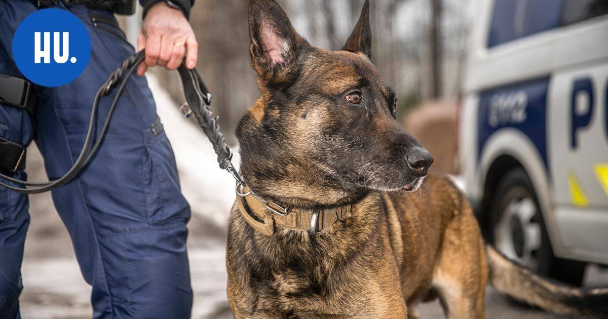 LV: Jäätä pitkin liikkunut mies tunkeutui aseen kanssa asuntoihin | New Articles