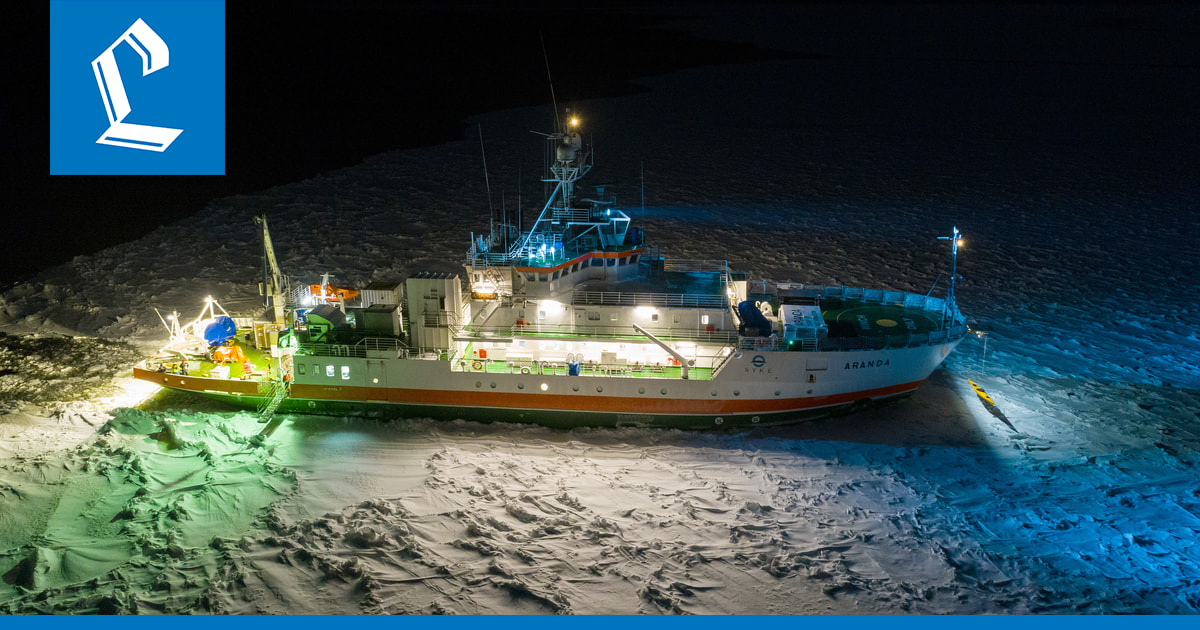 Perämeri on säilynyt hiljaisena, vaikka muualla vedenalainen melusaaste lisääntyy – Yksi syy voi olla Venäjä