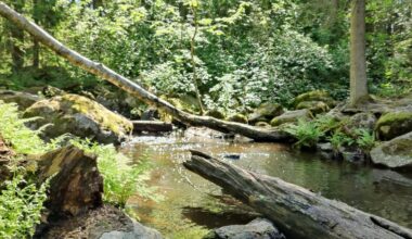 Peltolammi-Pärrinkosken luonnonsuojelualue [Tampereen kaupunki - Luonto ja ympäristö - Luonnonsuojelu